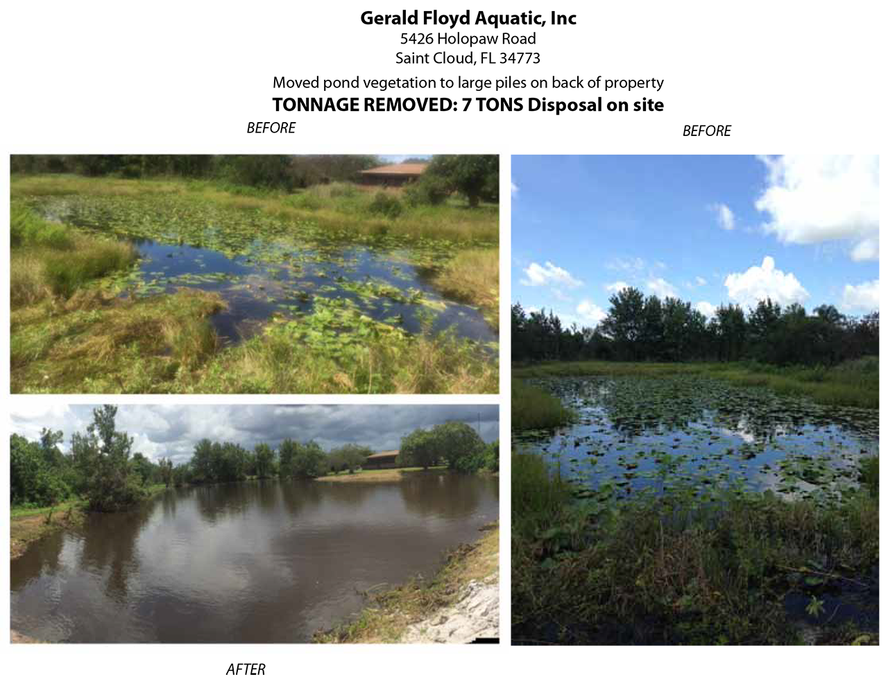 florida pond cleaning before and after eight