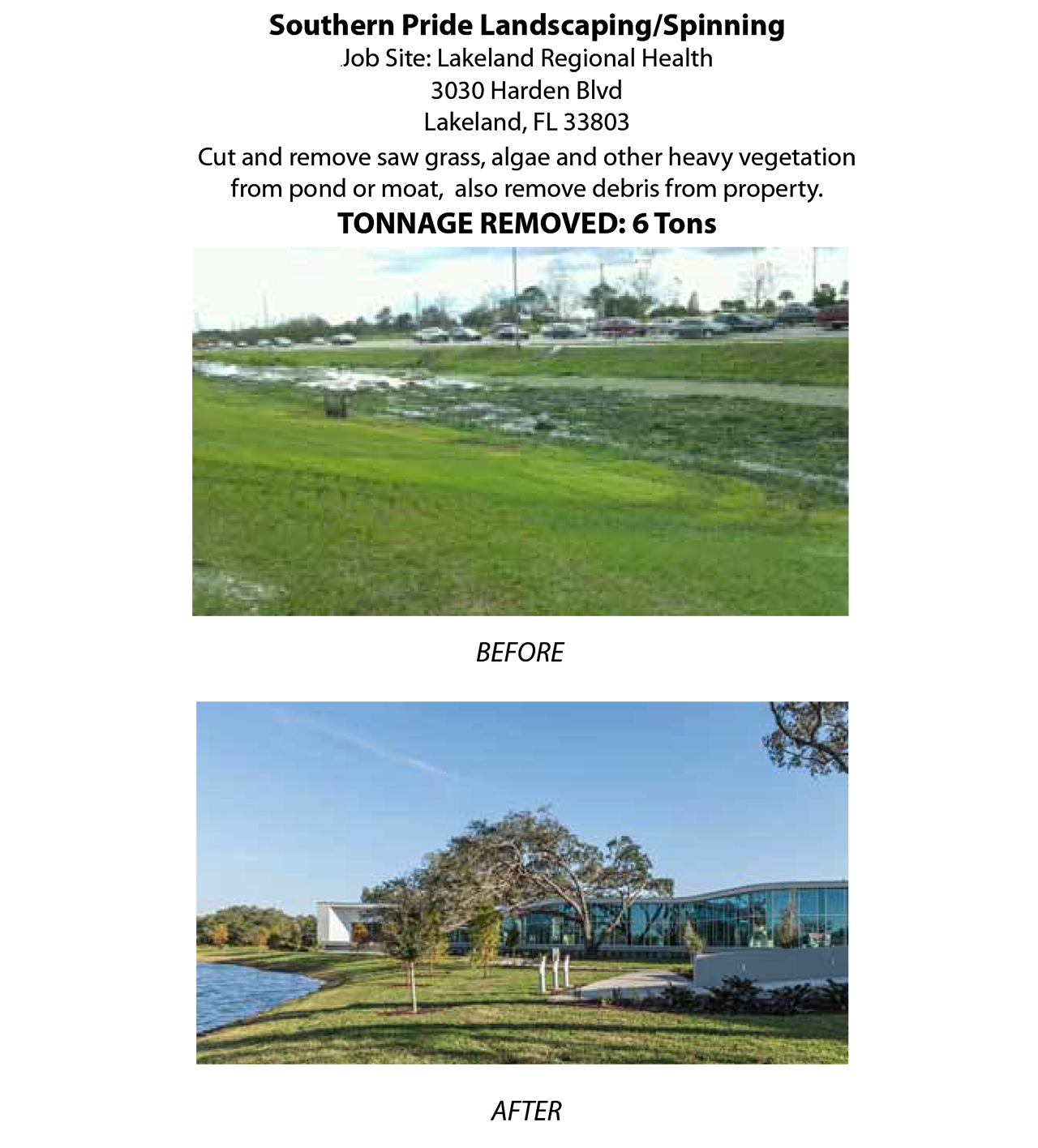 florida pond cleaning before and after eleven