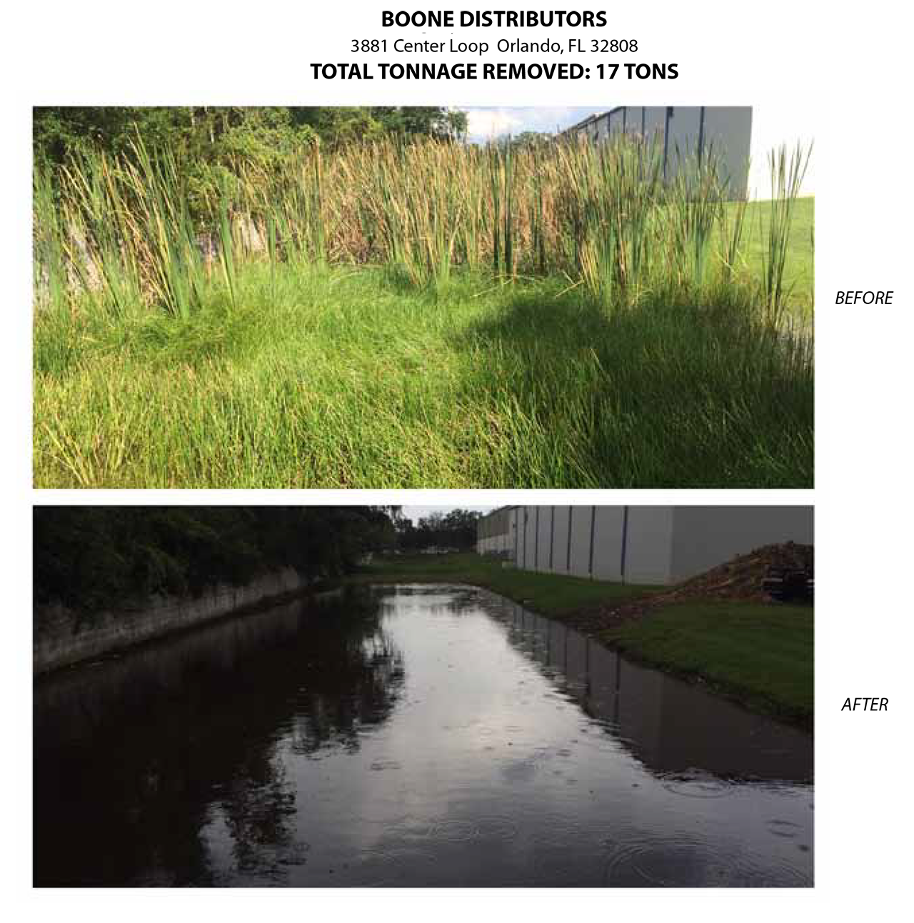 florida pond cleaning before and after five