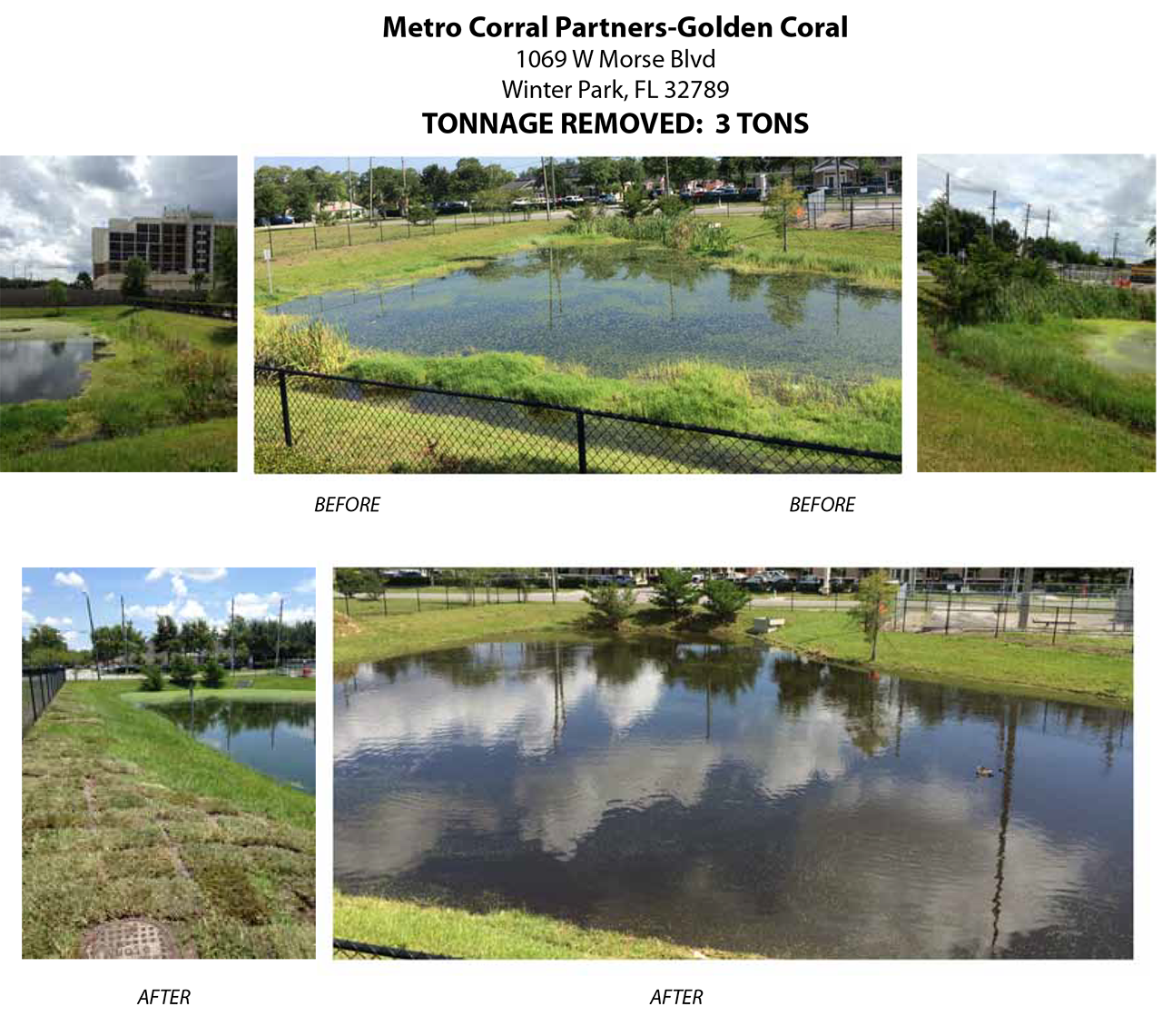 florida pond cleaning before and after nine
