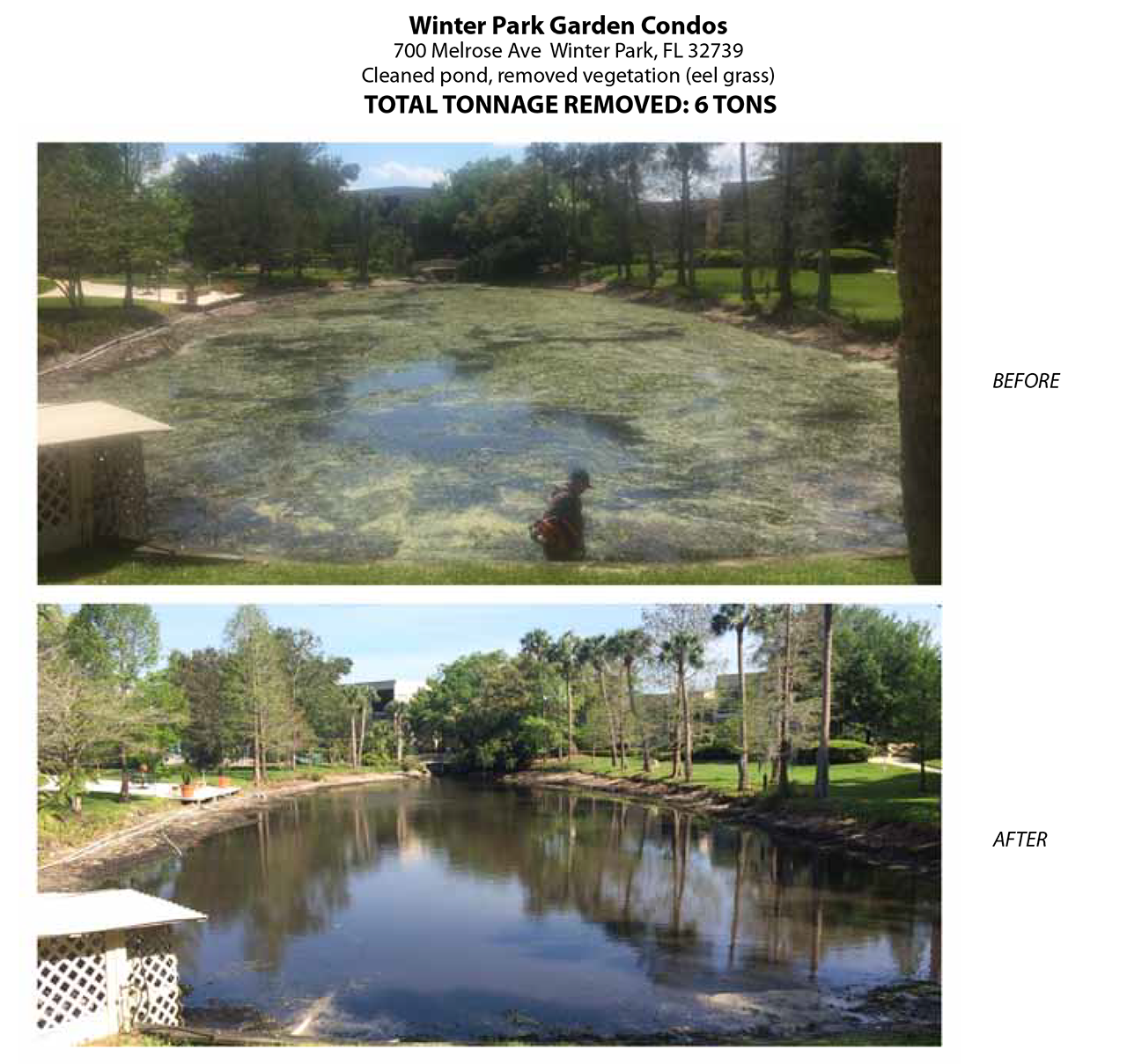 florida pond cleaning before and after ten