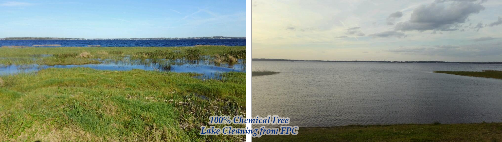 Lake Cleaning Orlando, Lake Maintenance Orlando, Lake Cleaning Companies Orlando, Lake Maintenance Orlando, Lake Maintenance Orlando, Algae Control Orlando, Lake Weed Control Orlando