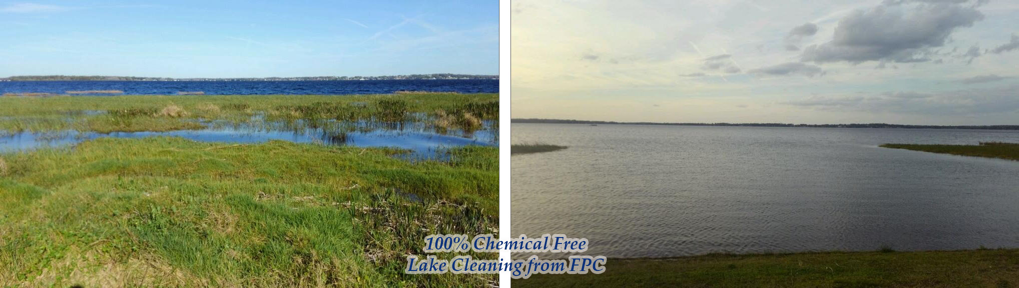 Lake Cleaning Companies, Lake Cleaning, Lakefront Cleaning, Lakefront Clearing, Lake Cleaning in